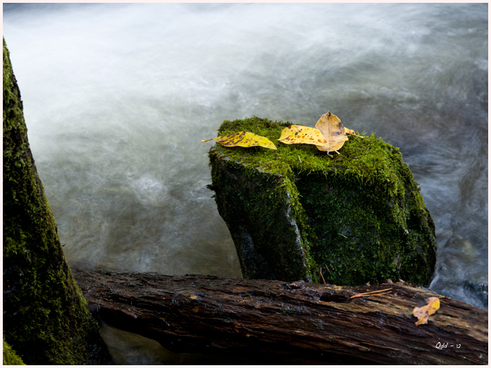 Autumn