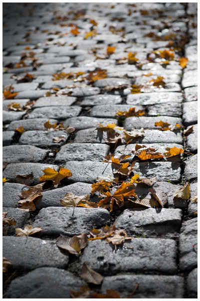 Fotosafari-med-Storm_0050